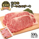 【ふるさと納税】「宮崎牛」サーロインステーキ 500g（250g×2枚） 牛 肉 牛肉 国産 ふるさと納税 宮崎牛 黒毛和牛 ステーキ 数量限定 Aコープ