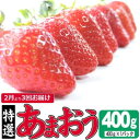 【ふるさと納税】定期便 3ヶ月 いちご あまおう 400g 特選 あまおう 2025年2月より発送 イチゴ 苺 フルーツ 果物 デザート 3回 お楽しみ ※配送不可：離島　定期便・朝倉市　お届け：2025年2月～4月