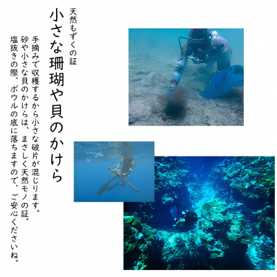 【数量限定・産地直送】素潜り漁師が手摘み採取!幻の天然もずく 塩蔵2.5kg(500g×5袋)【配送不可地域：離島】