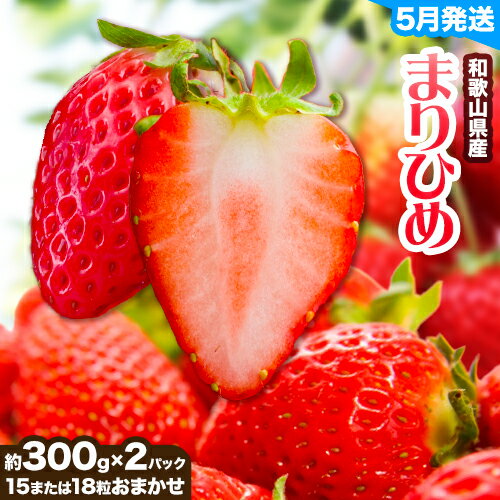 【ふるさと納税】【2026年5月発送】和歌山県産ブランド いちご「まりひめ」約300g×2パック (15または18粒おまかせ) 日高川町厳選館《5月上旬-5月末頃出荷予定》和歌山県 日高川町 送料無料 苺 鞠姫 マリヒメ フルーツ 果物 お取り寄せ 【配送不可地域あり】