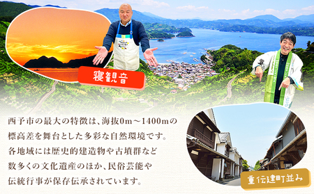 先行予約＜愛媛県明浜産 天晴みかん（温州みかん）約2kg＞ 家庭用 訳あり ワケアリ 自宅用 果物 くだもの フルーツ ミカン 柑橘 株式会社笑丸 食べて応援 特産品 産地直送 愛媛県 西予市【常温】