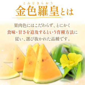 【先行予約／数量限定50】夕日ヶ浦すいか（金色羅皇） 1玉（2026年7月中旬～発送）果物 くだもの スイカ 西瓜  ふるさと納税 スイカ ふるさと納税 先行予約 フルーツ ふるーつ 甘い 京都 丹後