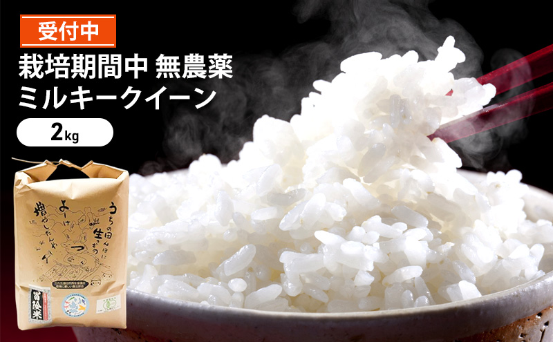 令和6年産 栽培期間中 無農薬 ミルキークイーン 2kg 玄米