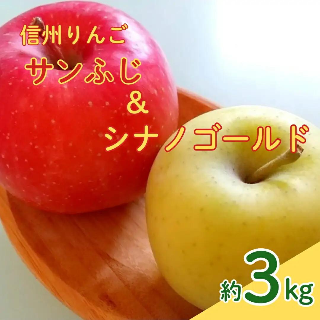 【2026年先行予約】サンふじ+シナノゴールド 約3kg| りんご りんご