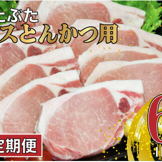 【6回定期便 総計6kg】 ありたぶた ロース とんかつ用 約1kg (1枚約100g×10パック) 6回 定期便 小分け 真空パック 豚肉 N60-3