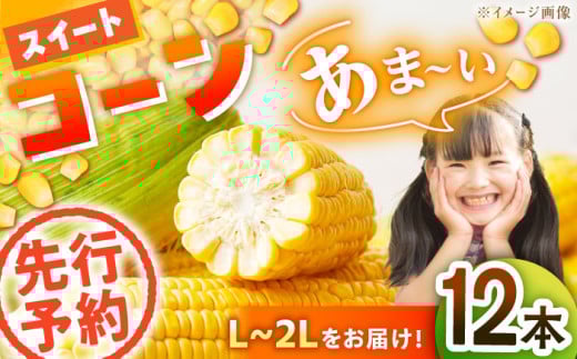 【先行予約】【6月上旬より順次発送】あま～いとうもろこし！スイートコーン（L～2Lサイズ）12本入り 愛媛県大洲市/沢井青果有限会社 [AGBN007]とうもろこし トウモロコシ コーン スイートコーン 野菜