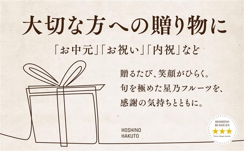 【発送月固定定期便】【人気セット】星乃フルーツ 桃+シャインマスカット全2回【配送不可地域：離島・北海道・沖縄県】