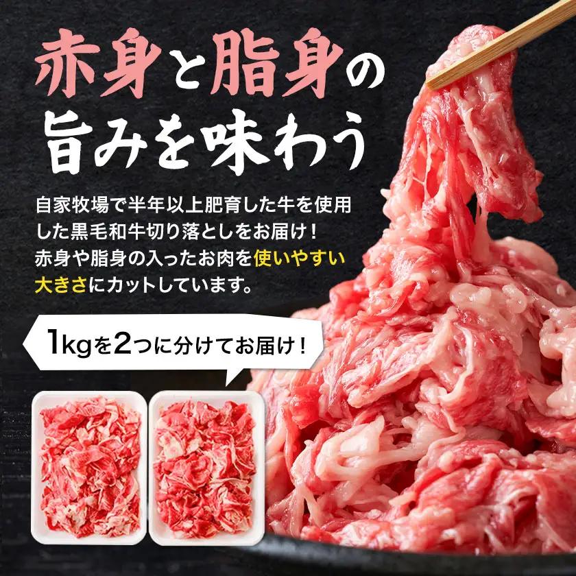 黒毛和牛切り落とし 1kg (500g×2パック) 高椋畜産《60日以内に出荷予定(土日祝除く)》