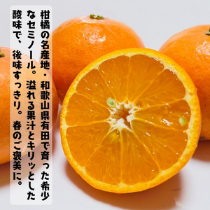 【特撰】セミノール 2kg ｜ みかん 高級 くだもの 晩柑 柑橘 和歌山