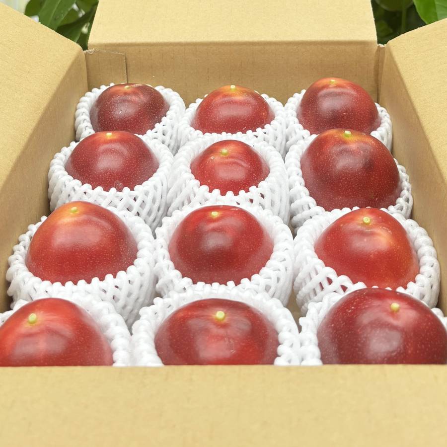 ＜丸和農場＞パッションフルーツ　１kg