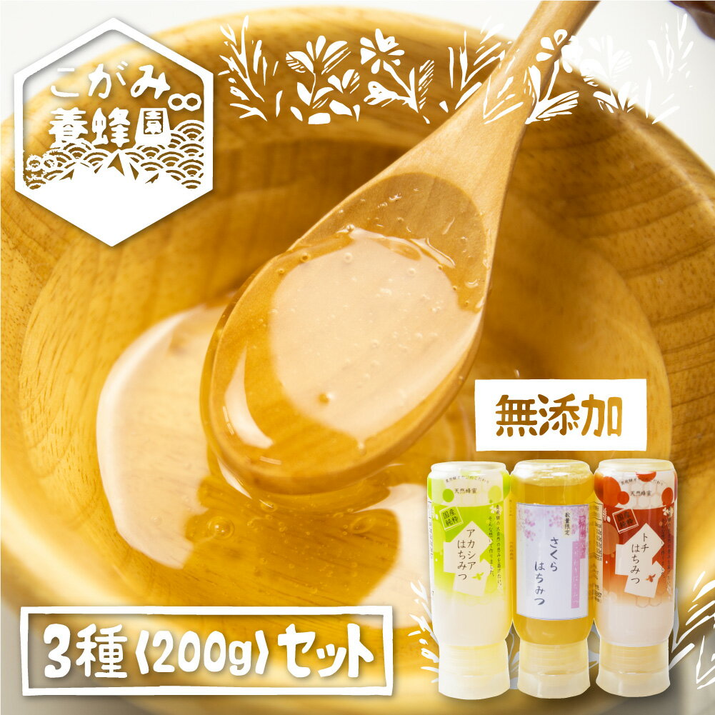 【ふるさと納税】飛騨産 生蜂蜜 詰め合わせ セット さくら トチ アカシア 各200gセット[Q1202x]