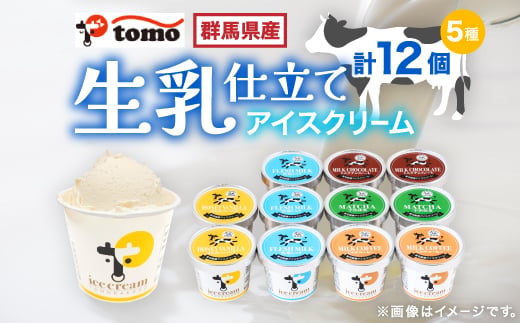 群馬県太田市　生乳仕立てアイスクリーム 12個セット_アイスクリーム スイーツ デザート 美味しい 冷凍 人気 おすすめ 送料無料 ギフト 贈答 プレゼント 東毛酪農【1223043】