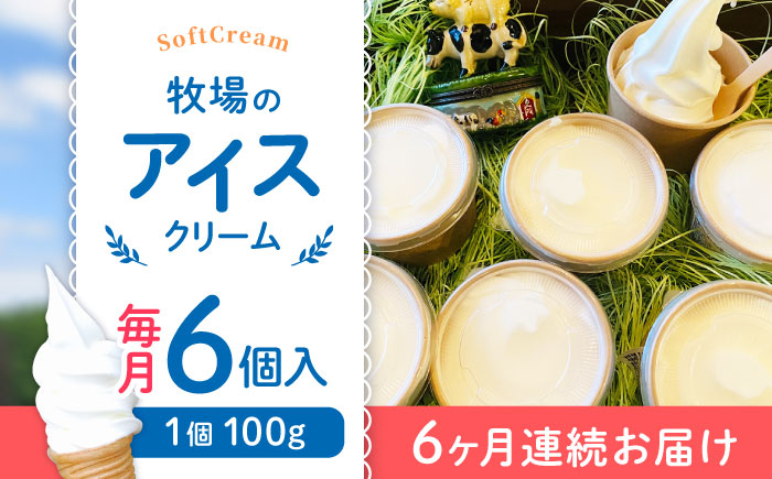 
【全6回定期便】牧場の アイスクリーム セット ( 100g × 6個 ) / アイス ソフトクリーム ミルク デザート スイーツ お菓子 熊本 山都町【山の未来舎】[YBV019]
