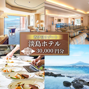 宿泊 静岡県沼津市 淡島ホテル 3万円分宿泊券
