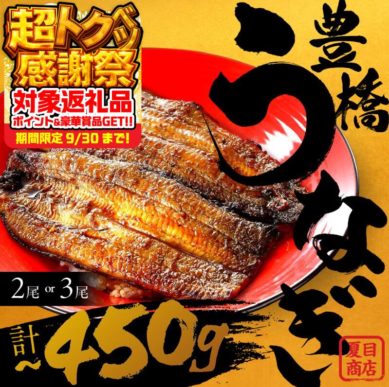 【ふるさと納税】★4.6 お届け日＆尾数が選べる 国産 うなぎ 蒲焼 土用の丑の日 2尾 3尾 4尾 5尾 6尾 ~450g 夏目商店 蒲焼 国産うなぎ 海鮮 ウナギ 鰻 長蒲焼 年内発送 年内配送 年内 発送時期が選べる 豊橋うなぎ 冷凍 丑の日 unagi まだ間に合う 期間限定 愛知 豊橋市