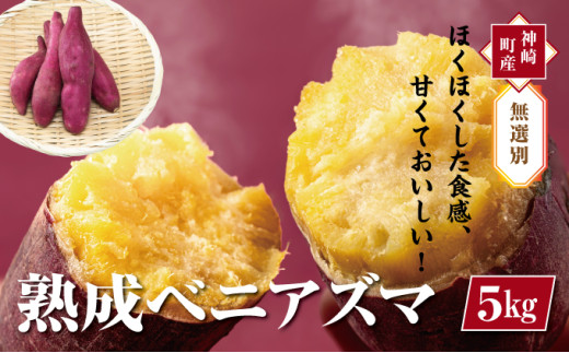 【先行予約・12月中旬以降出荷】神崎町産ベニアズマ「さつまいも」無選別 5kg[016-a001]【千葉県神崎町ふるさと納税】