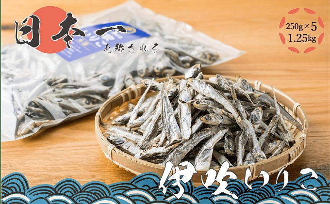 いりこの産地から！伊吹いりこ 大羽 1.25kg（250g×5袋） 大容量 瀬戸内海 伊吹島産 鰯 カタクチイワシ 海参 加工食品 出汁 おやつ お子様にも カルシウム 健康 海の幸 乾物 魚介類 おつまみ 保存食 特産品 お取り寄せ 酒のつまみ
