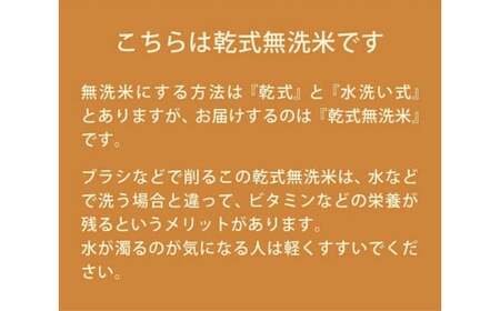 新米 令和6年 無洗米 5kg ひとめぼれ 一等米 ブランド米 銘柄米 お米 お弁当 おにぎり 袋 米 コメ こめ 白米 ごはん ご飯 白飯 飯 岩手県 いわて 金ケ崎町