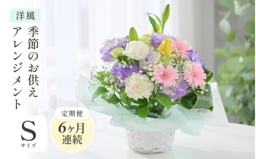 定期便 ≪6ヶ月連続お届け≫ 季節のお供えフラワーアレンジメント S【洋風】【お供え お花 フラワー アレジメント 花束 ギフト 生花 プレゼント 花束 花 お彼岸  法事】 [D-20702_01]