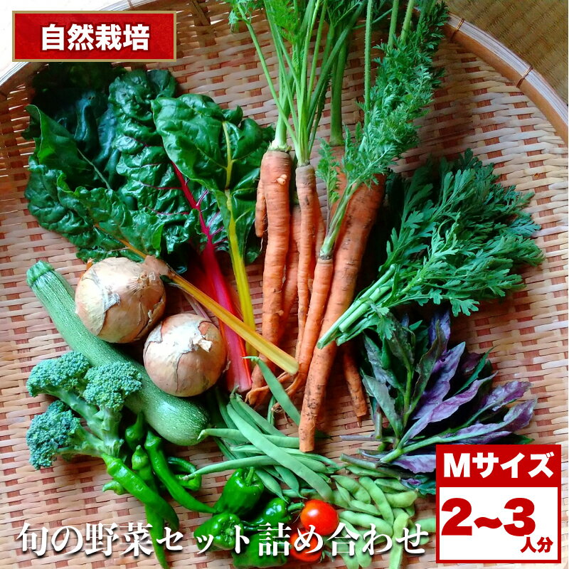【ふるさと納税】自然栽培 旬の野菜セット 詰め合わせ Mサイズ 2～3人分 ｜ 野菜 セット 詰め合わせ 自然栽培 農薬不使用 旬 やさい サラダ 採れたて とれたて 新鮮 季節限定 長野県 飯田市 信州