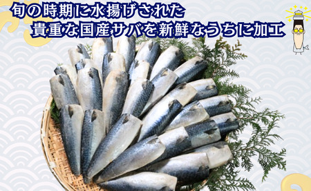 国産 塩サバ フィレ 30枚 約5kg 国産鯖 塩鯖 塩鯖 塩鯖 塩鯖 塩鯖 塩鯖 塩鯖 