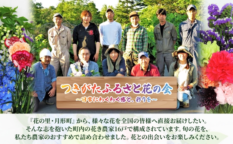 ＜選べる配送月＞ 北海道 花 詰め合わせ 4品種 12本以上 切り花 切花 花束 ブーケ 季節 旬 生花 フラワー アレンジメント 記念日 産地直送 つきがたふるさと花の会 11月お届け