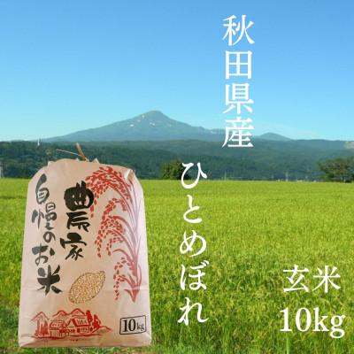 ふるさと納税 由利本荘市 【令和7年産先行受付】秋田県産 ひとめぼれ 玄米 農家自慢のお米 10kg×1袋