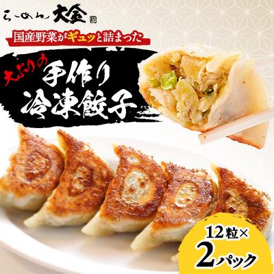 ふるさと納税 佐野市 佐野ブランド認証品 らーめん大金の国産野菜がギュッと詰まった大ぶりの手作り冷凍餃子　12粒×2パック