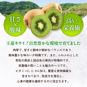 【先行予約】 訳ありヘイワード3kg（小玉、異形、擦り傷、日焼け） 【2025年12月中旬以降順次発送】 数量限定 希少 国産 甘い 氷見キウイランド 富山県 氷見市