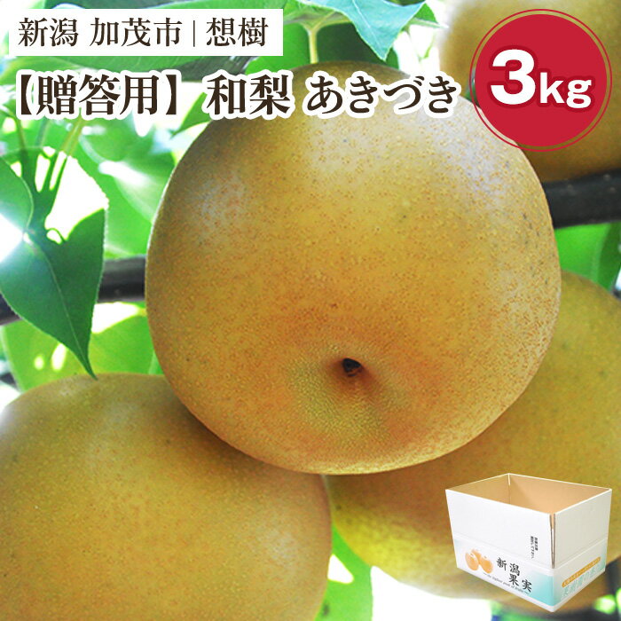【ふるさと納税】【2026年先行予約】【贈答用】新潟県産和梨 あきづき 約3kg（4～9玉）《9月中旬～順次出荷》梨 なし ナシ あきづき 果物 果樹 フルーツ 樹上完熟 加茂果樹専門家集団 加茂市 想樹