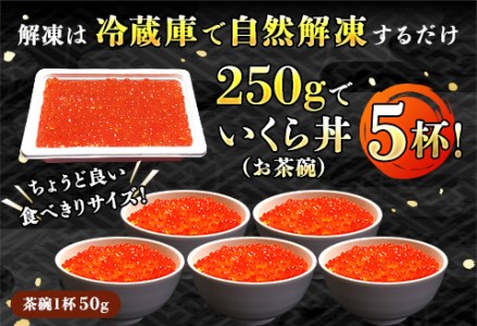 いくら醤油漬け 500g ＜250g ×2パック ×1箱＞ 小分け |  国産 北海道産 いくら いくら醤油漬 イクラ ikura 天然 鮭 サーモン  鮭卵 鮭いくら 北海道 昆布のまち 釧路町 笹