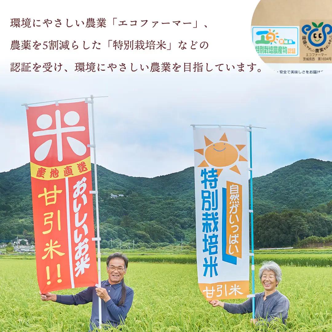 令和7年産 桜川市の 厳選 甘引米 コシヒカリ 食べ比べセット（玄米・精米） 特別栽培米 コシヒカリ こしひかり 玄米 精米 米 こめ コメ 有機肥料 桜川市産 茨城県 いばらき [BA002sa]