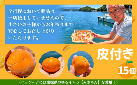 ＜【訳あり】冷凍みきゃんセット みきゃん盛り（皮付き15個）＞ ミカン 温州みかん 柑橘 果物 フルーツ デザート 詰合せ 特産品 渡江から一歩を踏み出す会 食べて応援 愛媛県 西予市【冷凍】『202