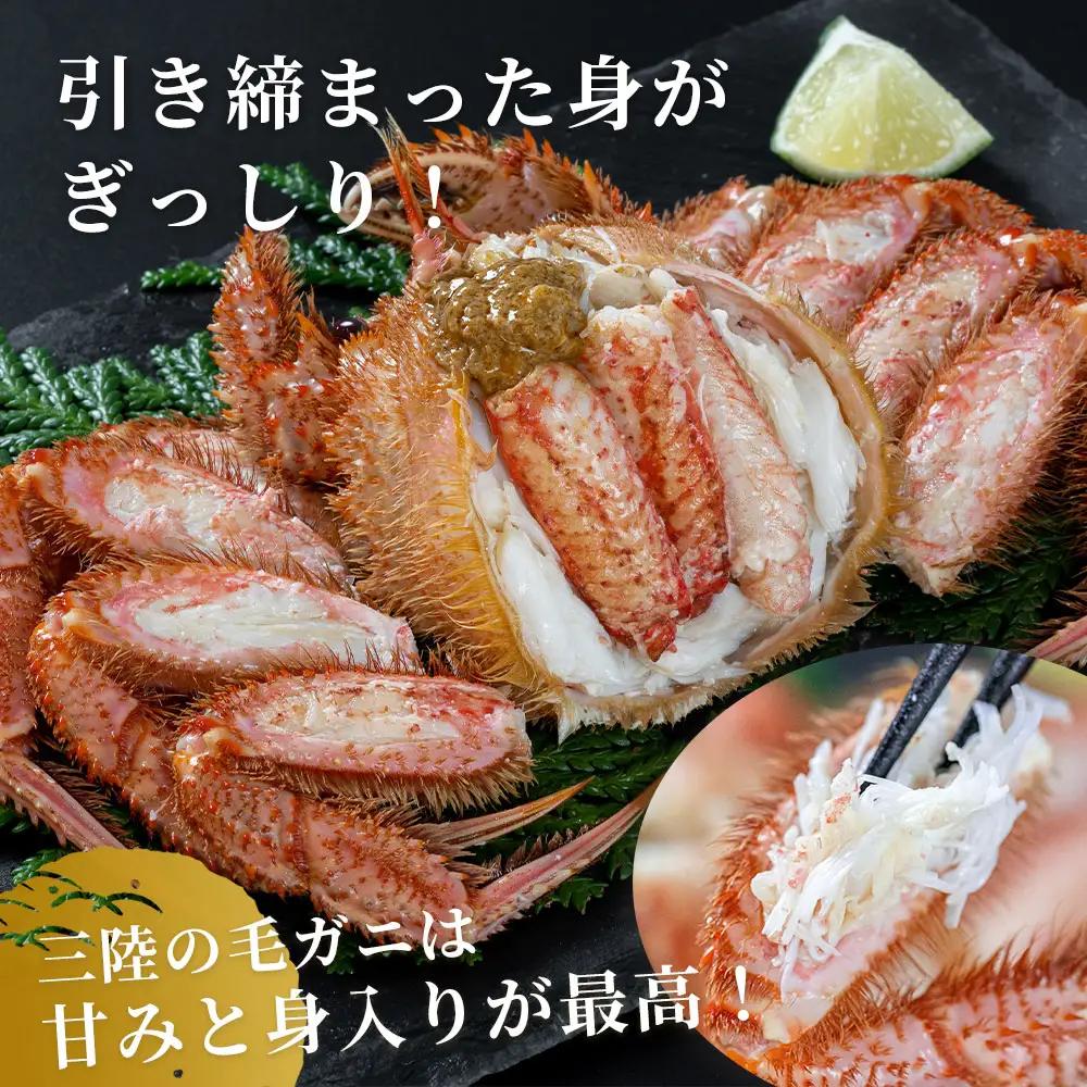fn-40-018【出荷前にお電話します！】 活毛ガニ 5杯 （260g～360g×5） 三陸産【令和9年2月上旬～4月頃お届け】ヤマコー片桐鮮魚店
