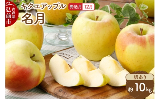 【26年12月発送】りんご 名月【訳あり】約10kg キタエアップル 青森県 弘前市 [先行予約 名月 りんご 訳あり 家庭用 アップル おいしい 果実 果物 黄色 美味 林檎]