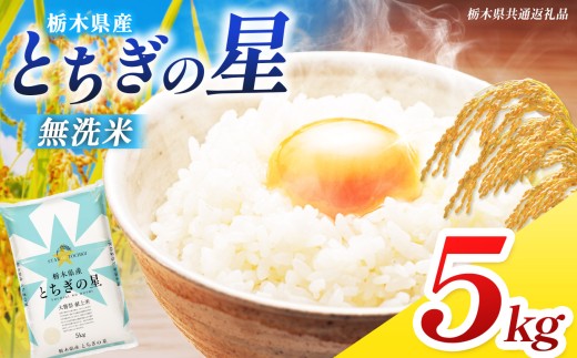 【栃木県共通返礼品】【先行予約】【令和8年度産】 訳あり 栃木県産 とちぎの星  無洗米 5kg | 定期便 選べる ふるさと 納税 コシヒカリ とちぎの星 お米 精米 無洗米 ごはん ご飯 主食 日本米 kome 栃木県 共通返礼品 那珂川町 送料無料