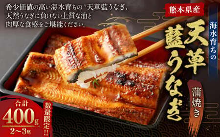 【ミシュラン1つ星店 採用】 うなぎ 国産 蒲焼き2-3尾 400g ギフト 蒲焼き 白焼き 鰻重 鰻丼 【数量限定】海水育ちの天草藍うなぎ 天草藍うなぎ 天草うなぎ 国産うなぎ 熊本県産うなぎ