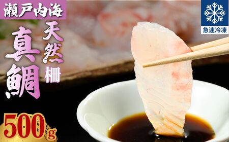 瀬戸内「天然」真鯛 お刺身用 500g 柵でお届け（急速冷凍）便利な小分け 100gパック 【鯛 マダイ タイ 鯛めし 鯛茶漬け ブロック 海鮮 魚介 即日加工 鮮度抜群 個包装 おせち 正月 正月料理】