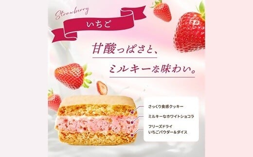 
                  【25135】たっぷりショコラサンドクッキー いちご
                