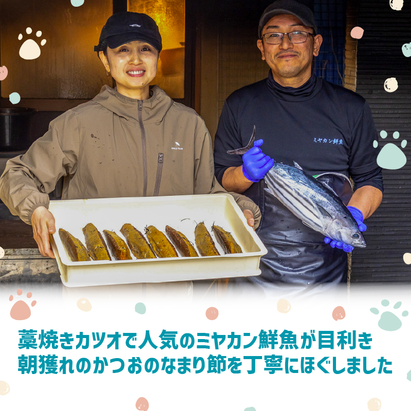 犬猫用 かつお ペットフード 10パック ドッグフード キャットフード
