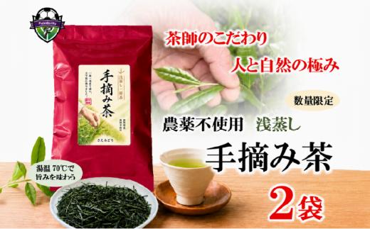 人 と 自然 の 極み の 【手摘み茶】 浅蒸し さえみどり 50g × 2袋 セット 緑茶 静岡県産 日本茶 お茶 茶 茶葉 急須 おちゃ カテキン 静岡茶 浅むし茶 あさむし茶 家庭用 会社用 おうち時間 藤枝市 静岡県