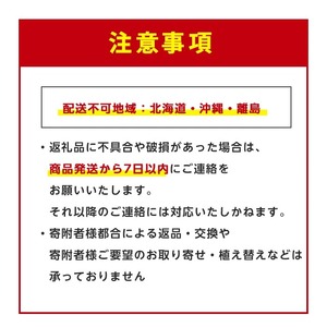 【観葉植物】玉文(ぎょくぶん)マンゴー苗木 6号ポット 3～4年生苗木 前園植物園 IB002-021  観葉植物 ※北海道・沖縄・離島配送不可