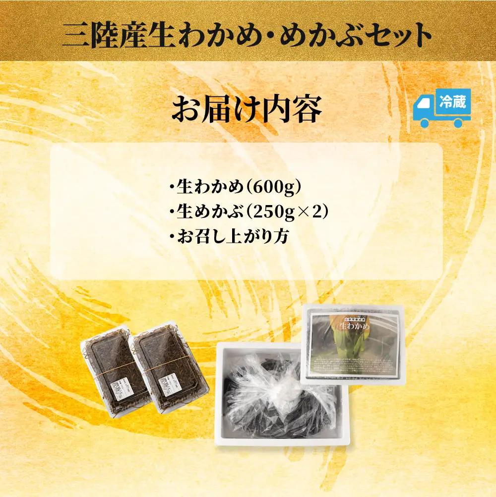 fn-39-014 三陸産生わかめ・めかぶセット【2月上旬から3月中旬頃お届け便】 ヤマキイチ商店