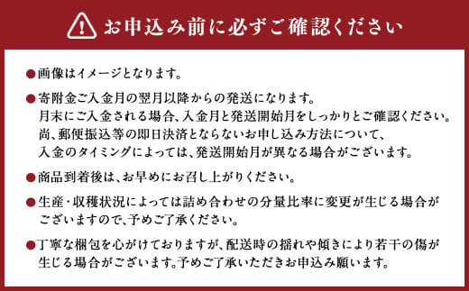 【年3回定期便】熊本の人気フルーツ堪能定期便（1月・5月・10月発送） 熊本県産 果物 毎月お届けギフト