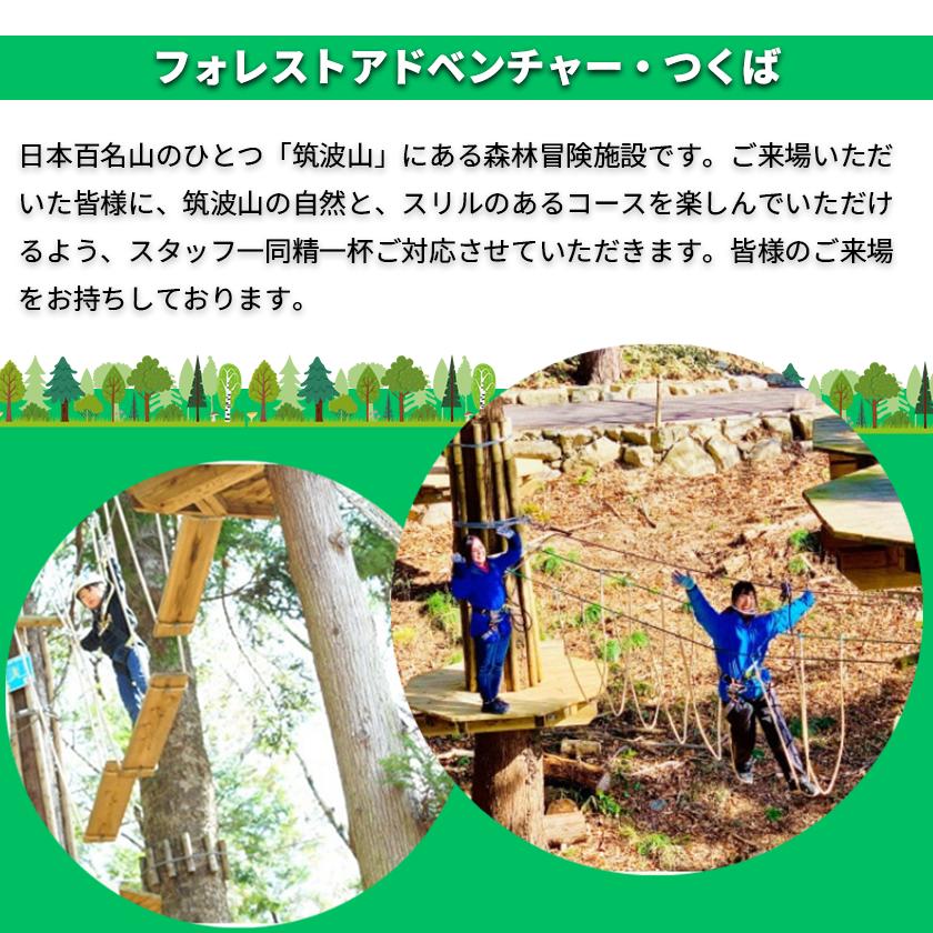 フォレストアドベンチャー ・ つくば ＜アドベンチャーコース＞ 2名様 体験チケット【 レジャー アウトドア アドベンチャー スポーツ アスレチック 公園 運動 体験 チケット コース 休日 体験チケ