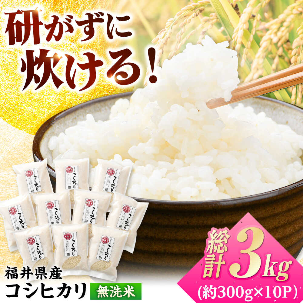 【ふるさと納税】【令和6年産】無洗米 福井県産こしひかり 300g(約2合) × 10パック 計3kg/ コシヒカリ 白米 精米 小浜市 / シマダ農園 [BFAV003]