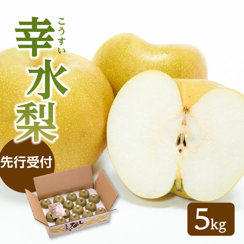 【ふるさと納税】【先行予約】幸水梨（5kg）【JAふくおか八女】｜7月下旬発送予定 なし ナシ 果物 果実 フルーツ 先行予約 産地直送 デザート 旬 甘い
