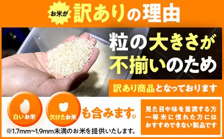 【訳あり】【数量限定】フードロス応援米 10kg 10kg×1袋