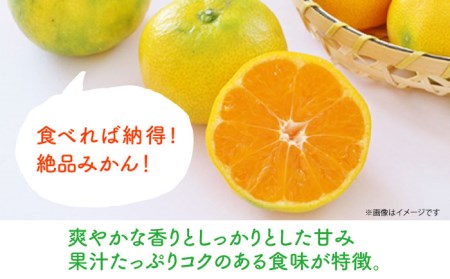 【先行予約】極早生（谷本早生） みかん Mサイズ 約5kg  ー2025年10月より発送ー 長与町/山口農園 [EBI007] みかん ミカン 温州みかん 極早生みかん 長崎みかん 長与みかん