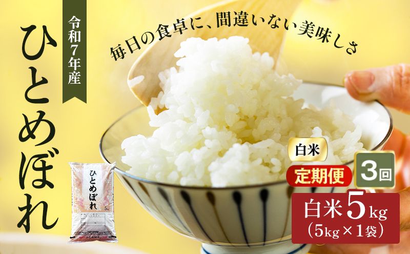 ひとめぼれ 定期便3回/5kg×1 令和7年産 宮城県産 米 精米 白